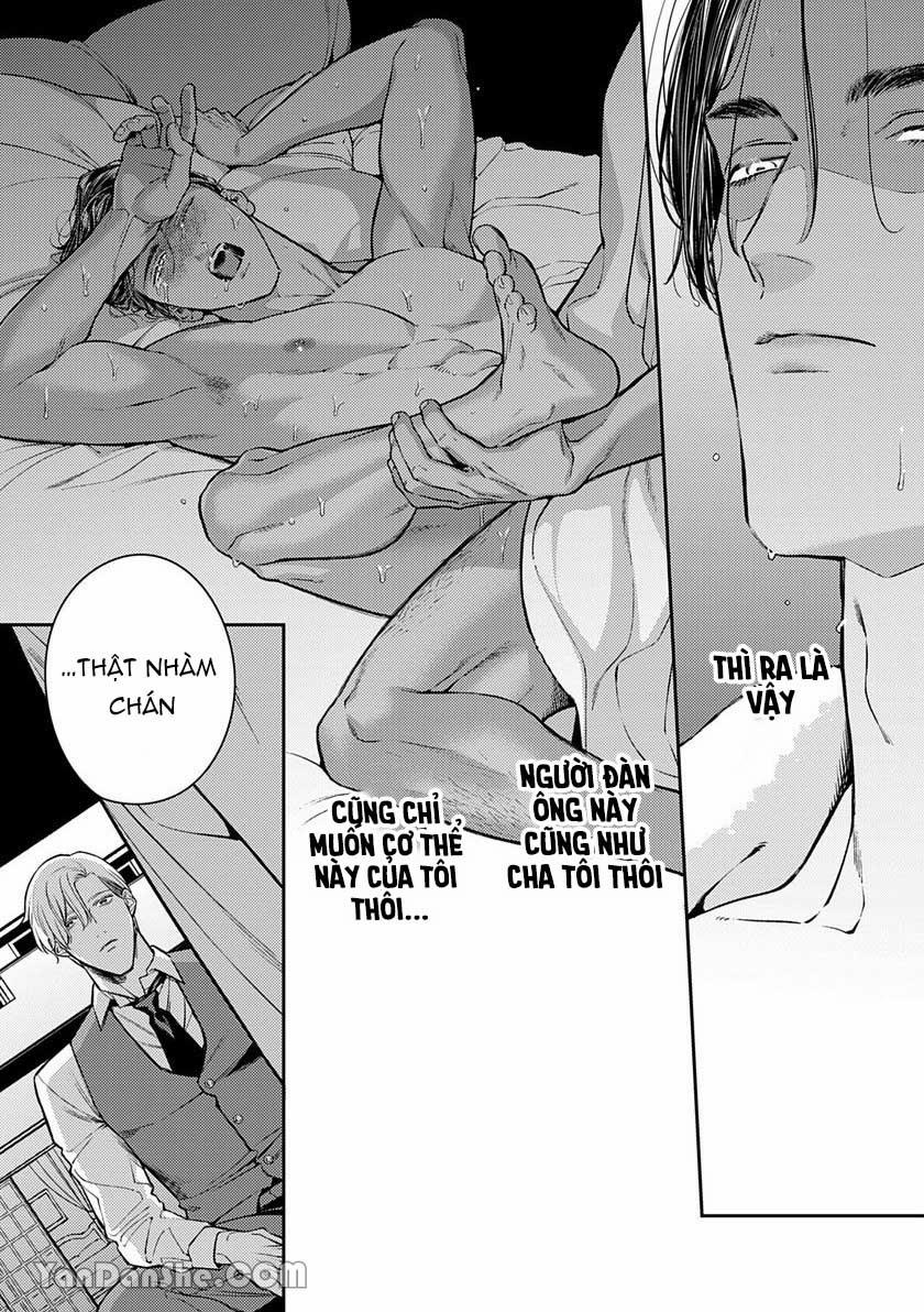 Chú Chim Bình Minh Đầu Hàng Mặt Trăng Quyến Rũ 2 trang 3