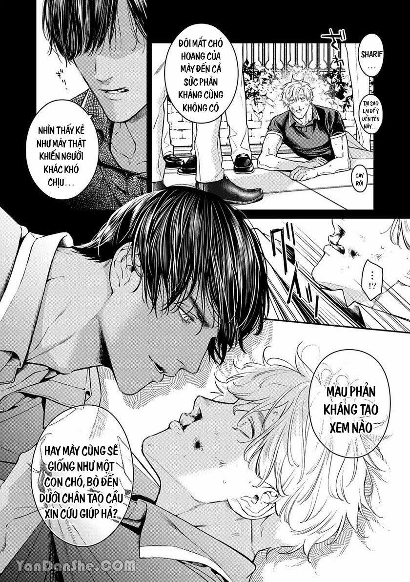 Chú Chim Bình Minh Đầu Hàng Mặt Trăng Quyến Rũ 3.1 trang 9