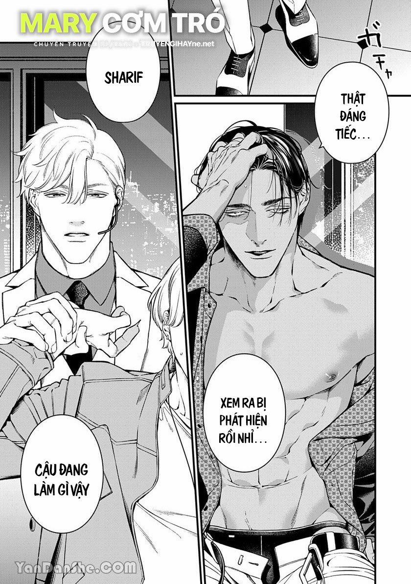 Chú Chim Bình Minh Đầu Hàng Mặt Trăng Quyến Rũ 4.2 trang 0