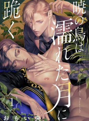 Đọc truyện tranh Chú Chim Bình Minh Đầu Hàng Mặt Trăng Quyến Rũ