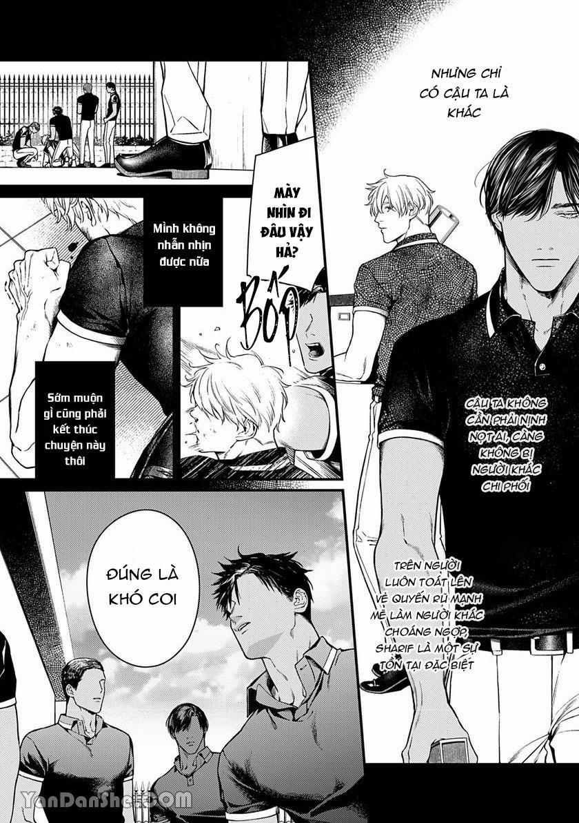 Chú Chim Bình Minh Thuần Phục Dưới Ánh Trăng Yêu Diễm 3 trang 6