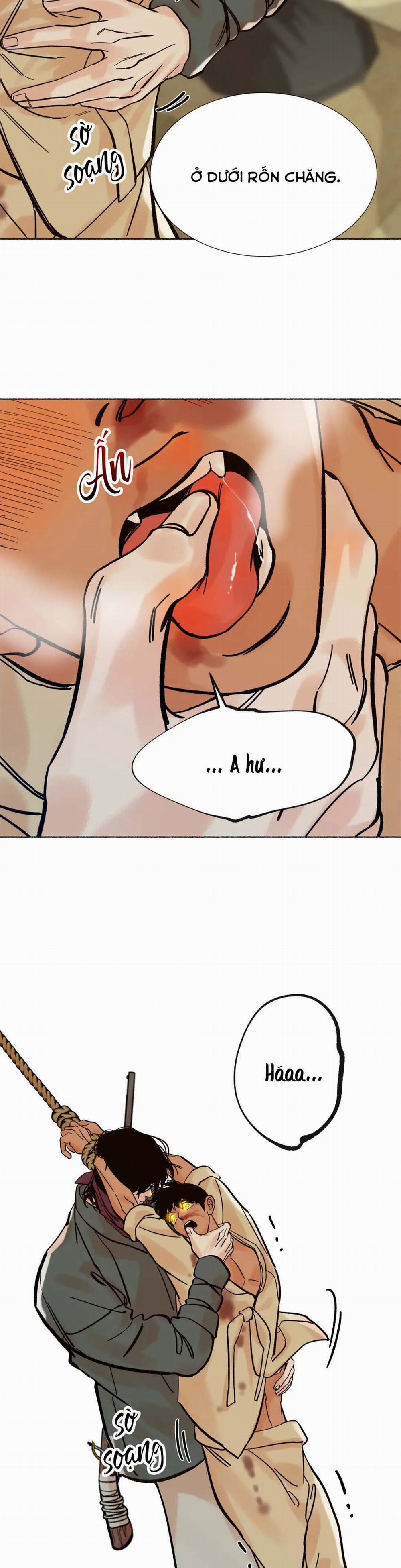 Chú Hổ Hoàng Kim 10 trang 10