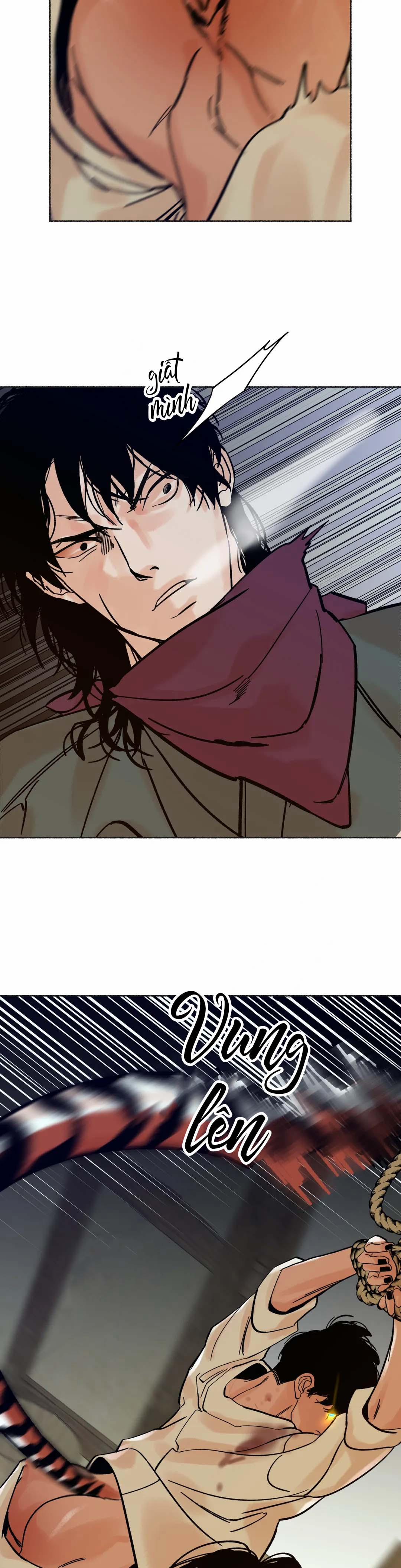 Chú Hổ Hoàng Kim 10 trang 19