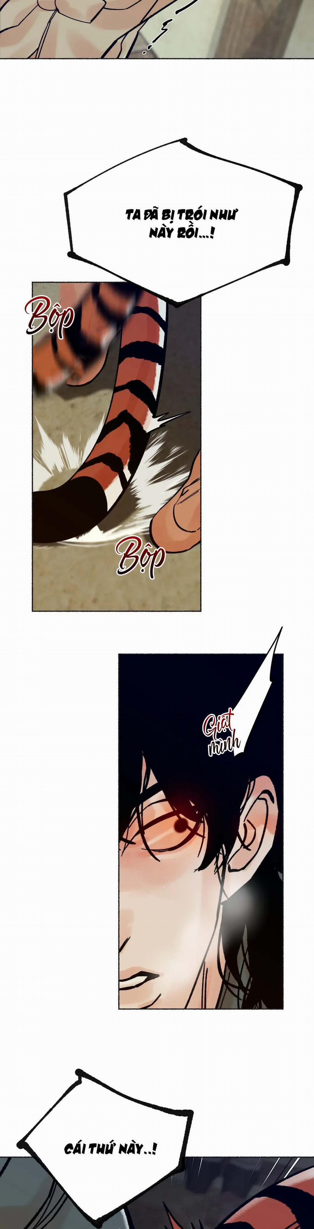 Chú Hổ Hoàng Kim 10 trang 25