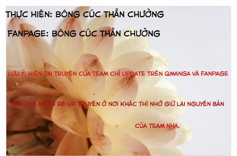 Chú Mèo Của Tôi 1 trang 0