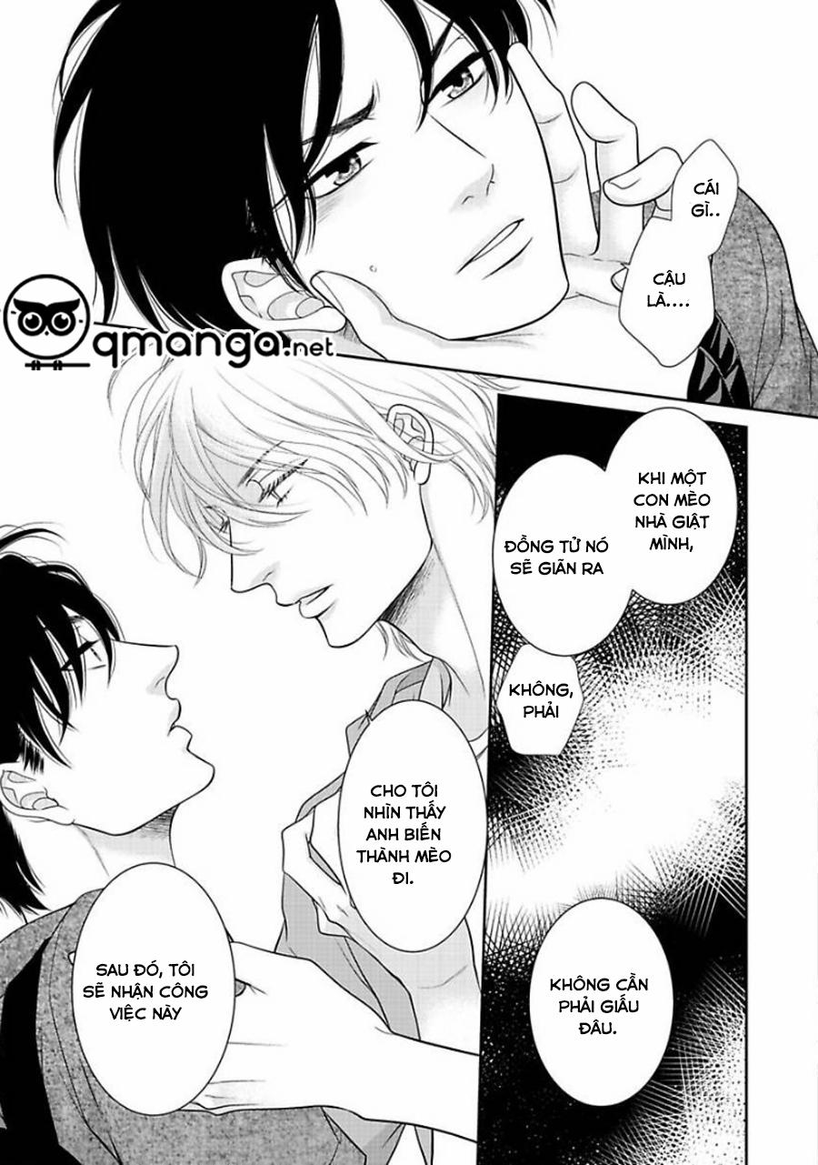 Chú Mèo Của Tôi 1 trang 22