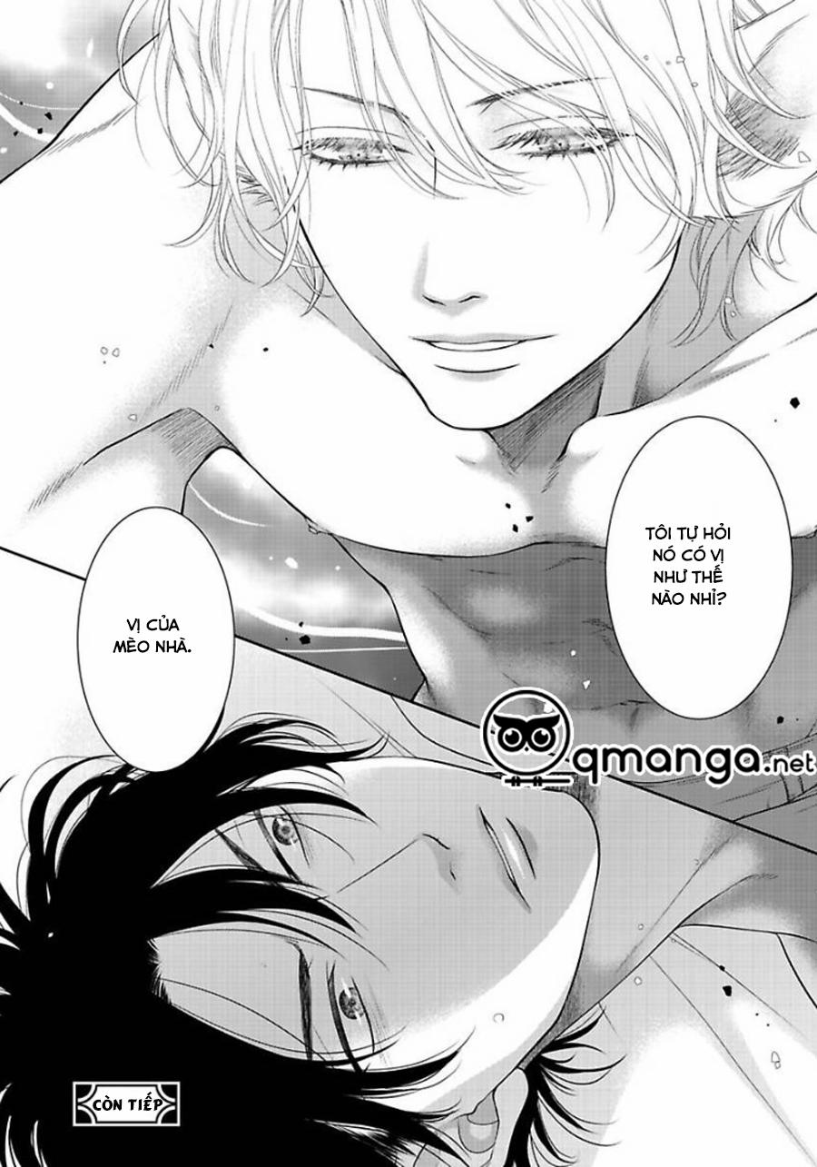 Chú Mèo Của Tôi 1 trang 31