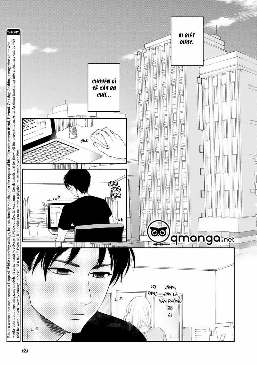 Chú Mèo Của Tôi 4 trang 5