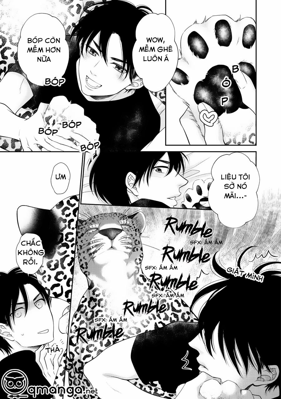 Chú Mèo Của Tôi 5 trang 5