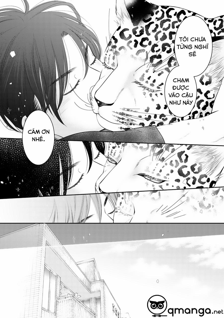 Chú Mèo Của Tôi 5 trang 8