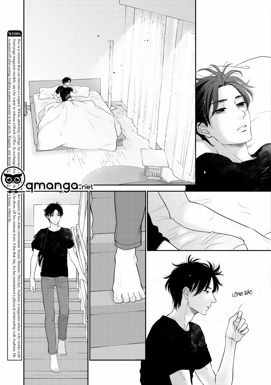 Chú Mèo Của Tôi 5 trang 9