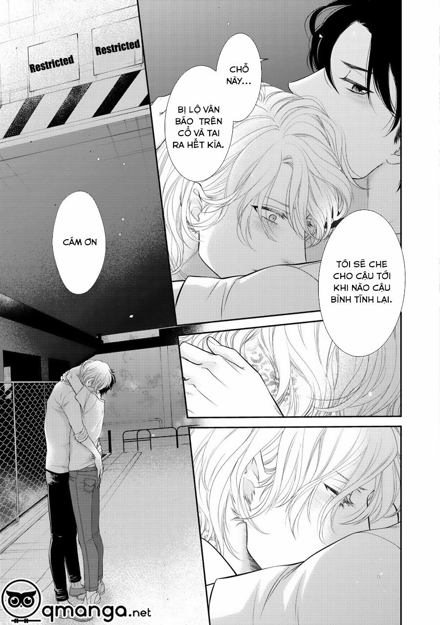 Chú Mèo Của Tôi 7 trang 15
