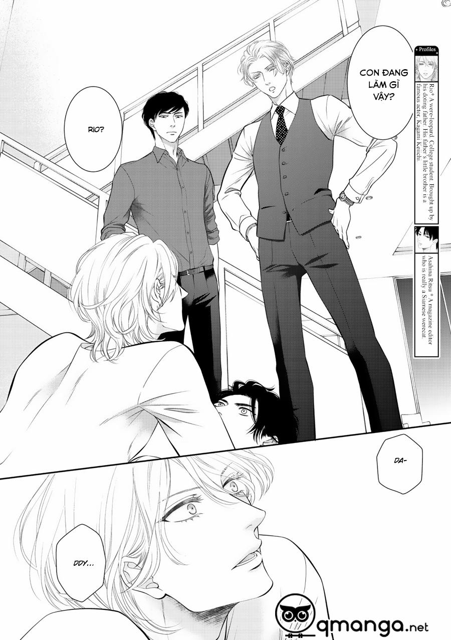 Chú Mèo Của Tôi 7 trang 2