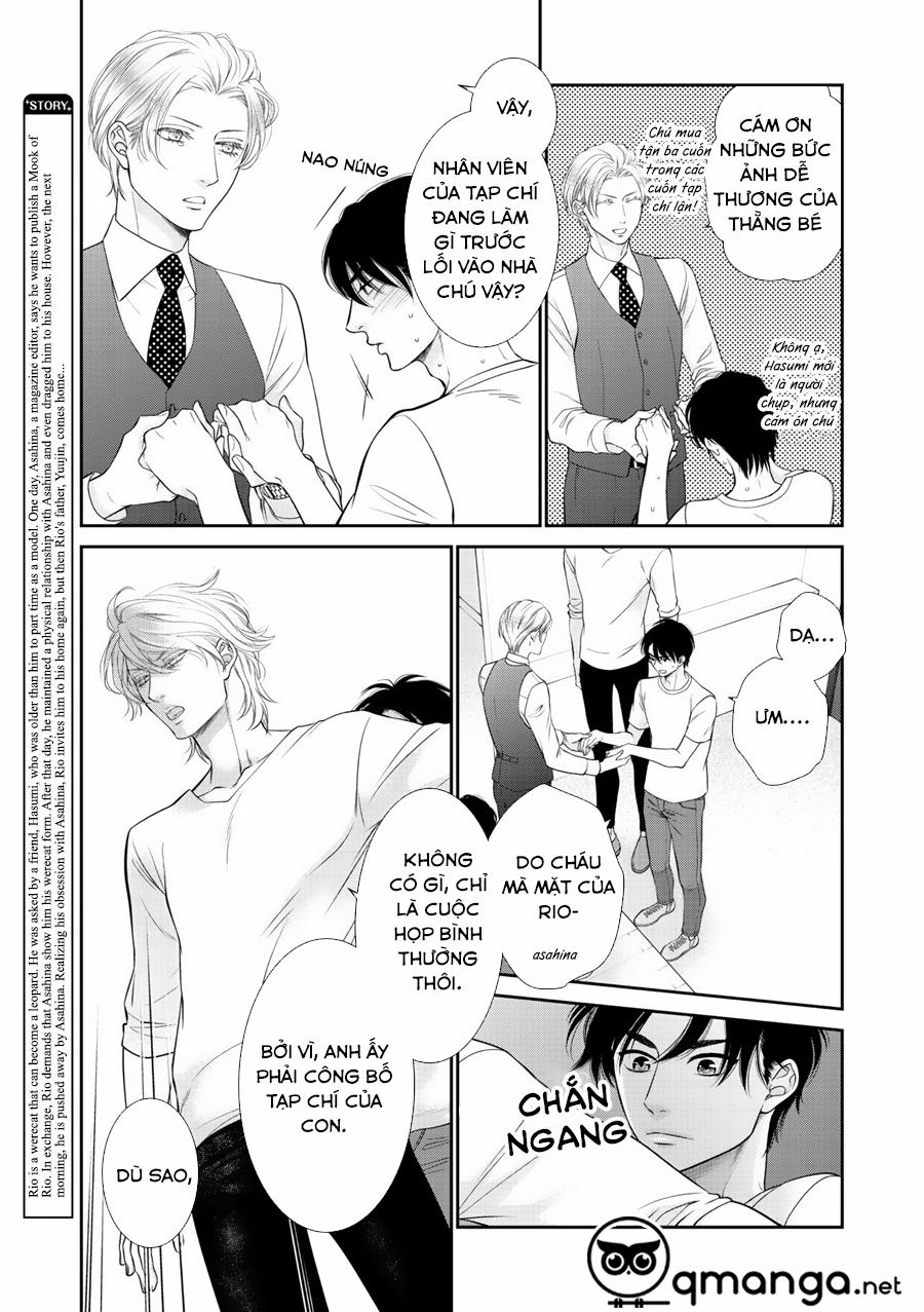 Chú Mèo Của Tôi 7 trang 7