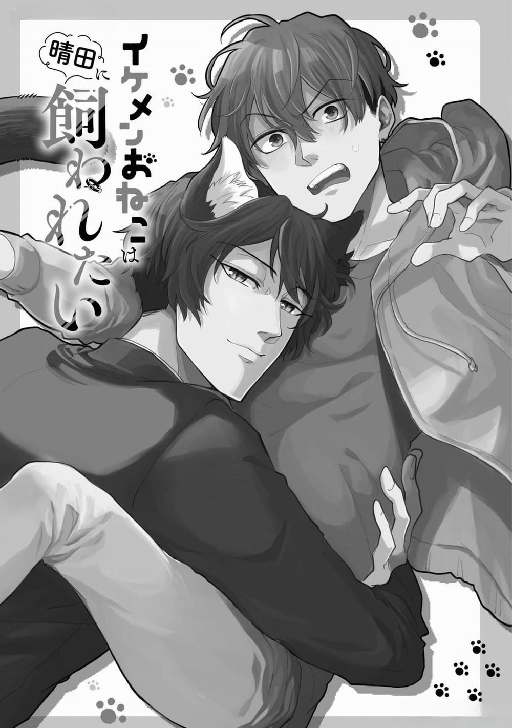 Chú Mèo Đẹp Trai Muốn Được Haruta Nuôi Dưỡng 1 trang 1