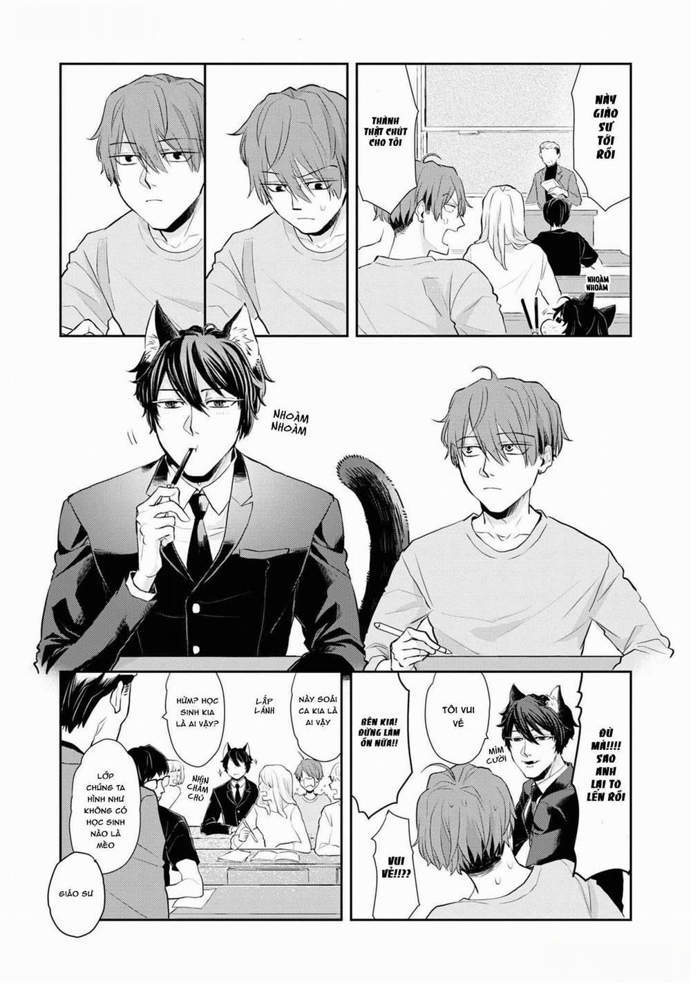 Chú Mèo Đẹp Trai Muốn Được Haruta Nuôi Dưỡng 1 trang 15