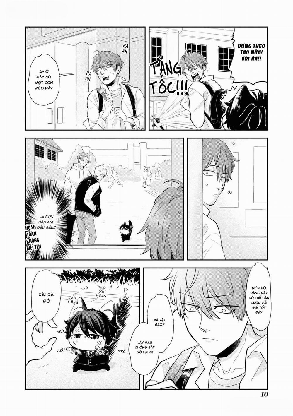Chú Mèo Đẹp Trai Muốn Được Haruta Nuôi Dưỡng 1 trang 8