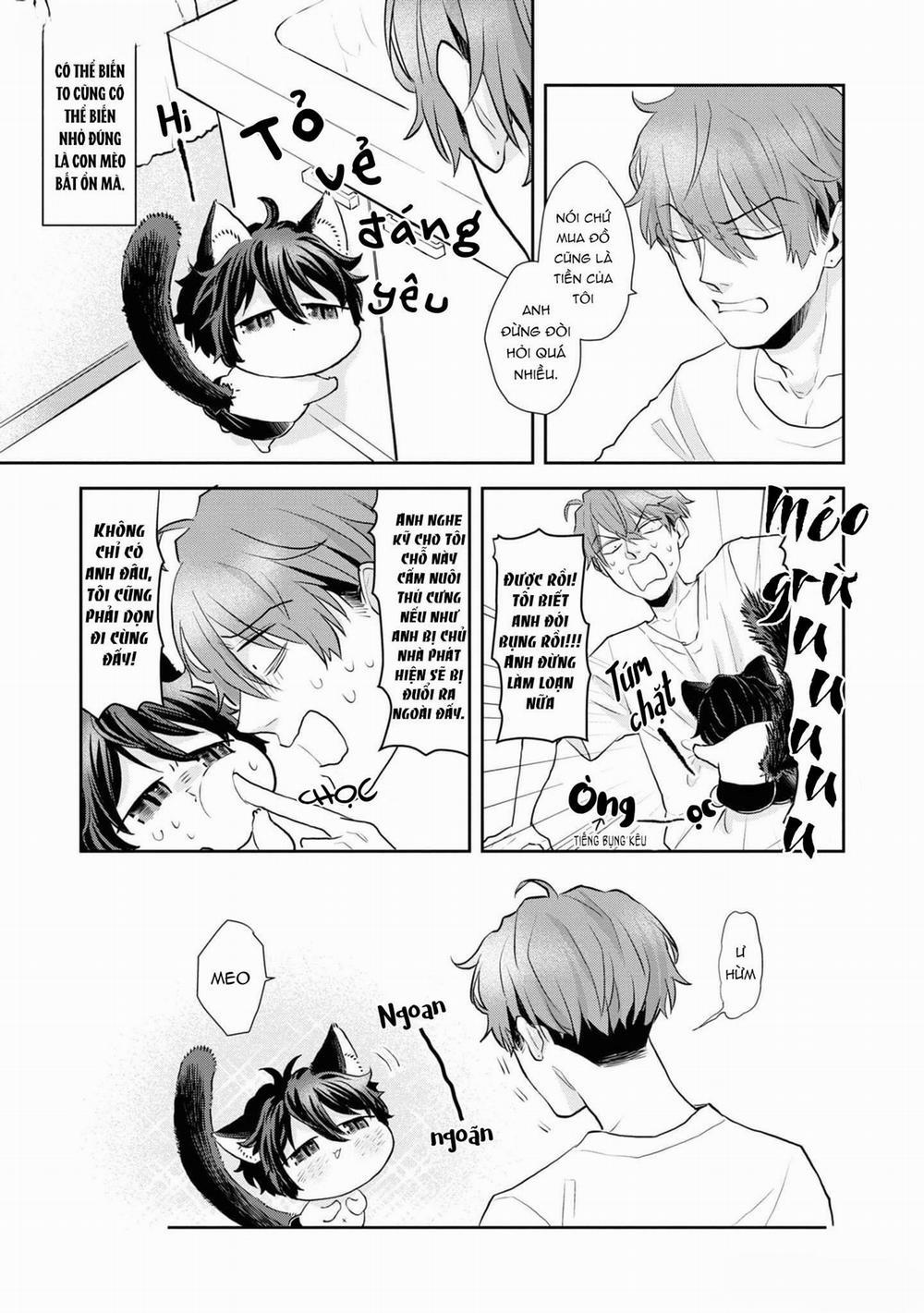 Chú Mèo Đẹp Trai Muốn Được Haruta Nuôi Dưỡng 2 trang 4