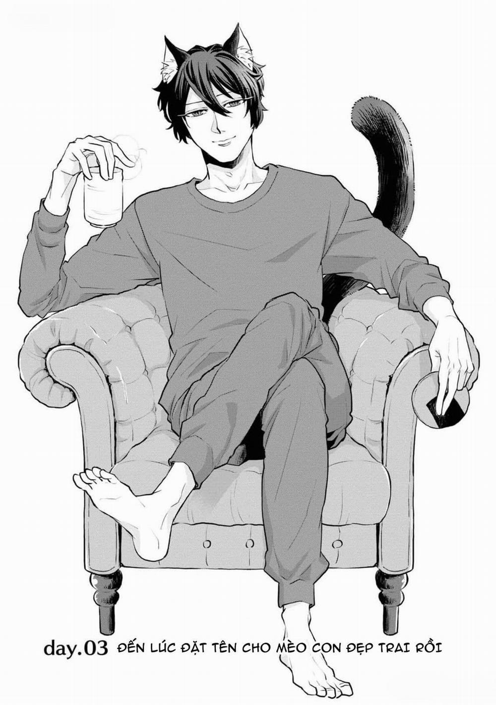 Chú Mèo Đẹp Trai Muốn Được Haruta Nuôi Dưỡng 3 trang 0