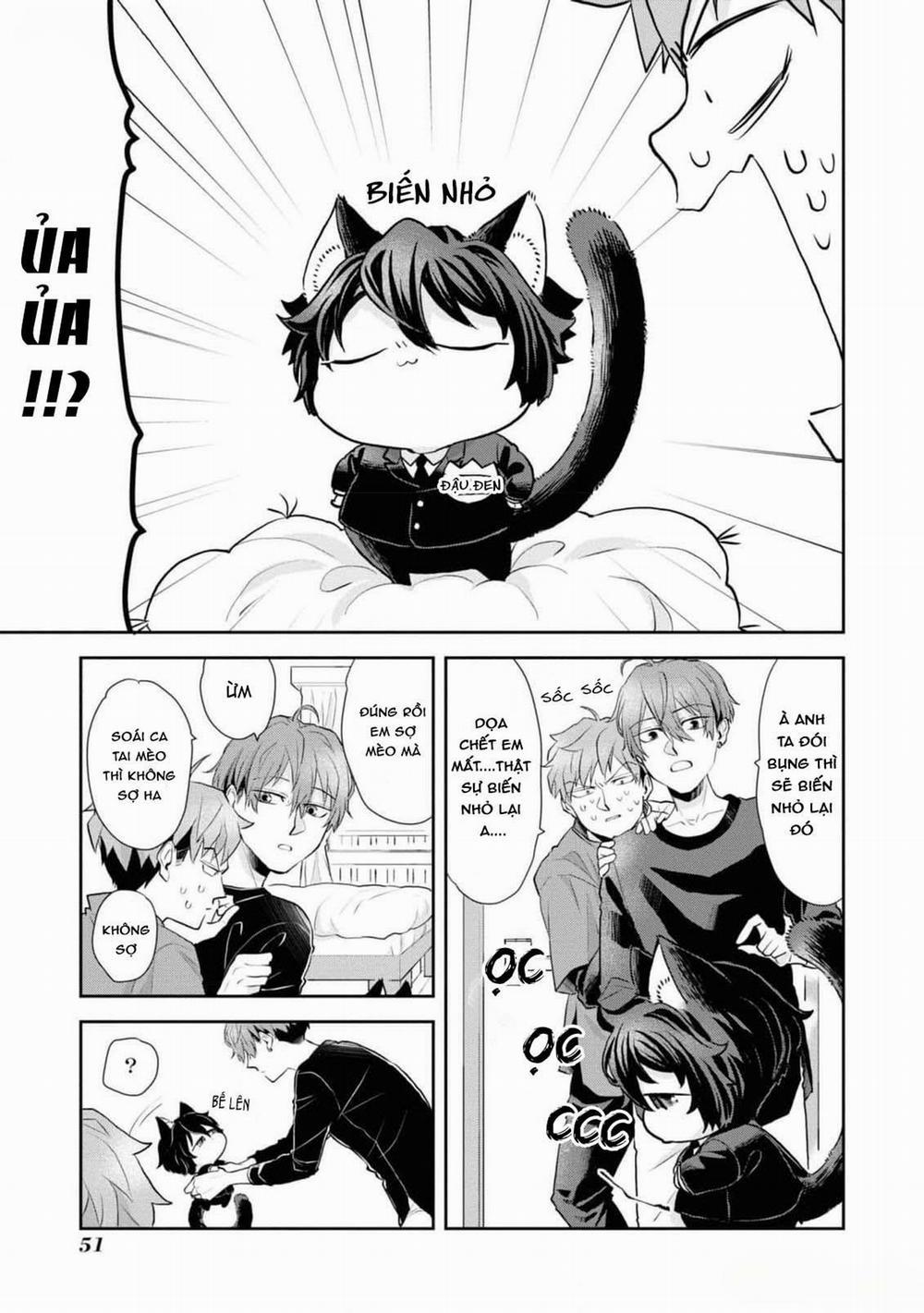 Chú Mèo Đẹp Trai Muốn Được Haruta Nuôi Dưỡng 3 trang 12