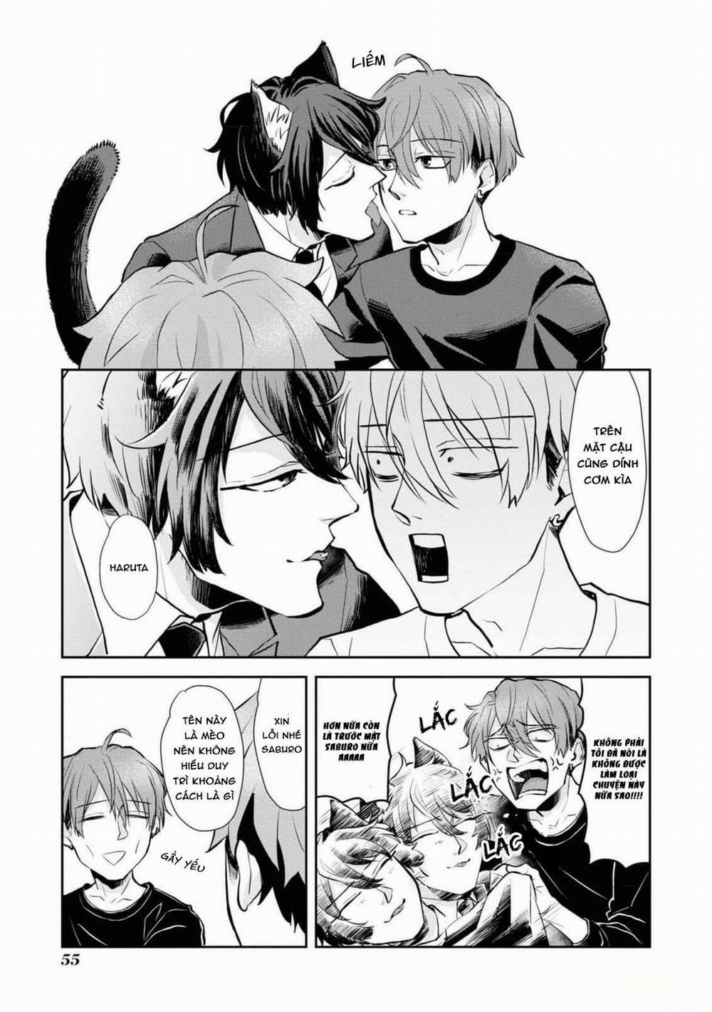 Chú Mèo Đẹp Trai Muốn Được Haruta Nuôi Dưỡng 3 trang 16