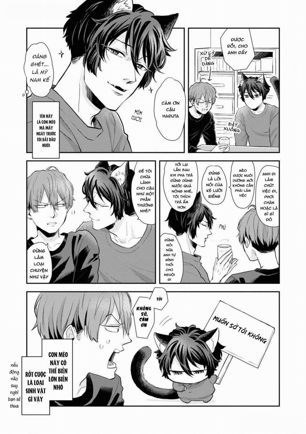 Chú Mèo Đẹp Trai Muốn Được Haruta Nuôi Dưỡng 3 trang 2