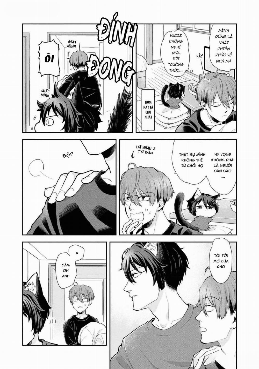 Chú Mèo Đẹp Trai Muốn Được Haruta Nuôi Dưỡng 3 trang 3