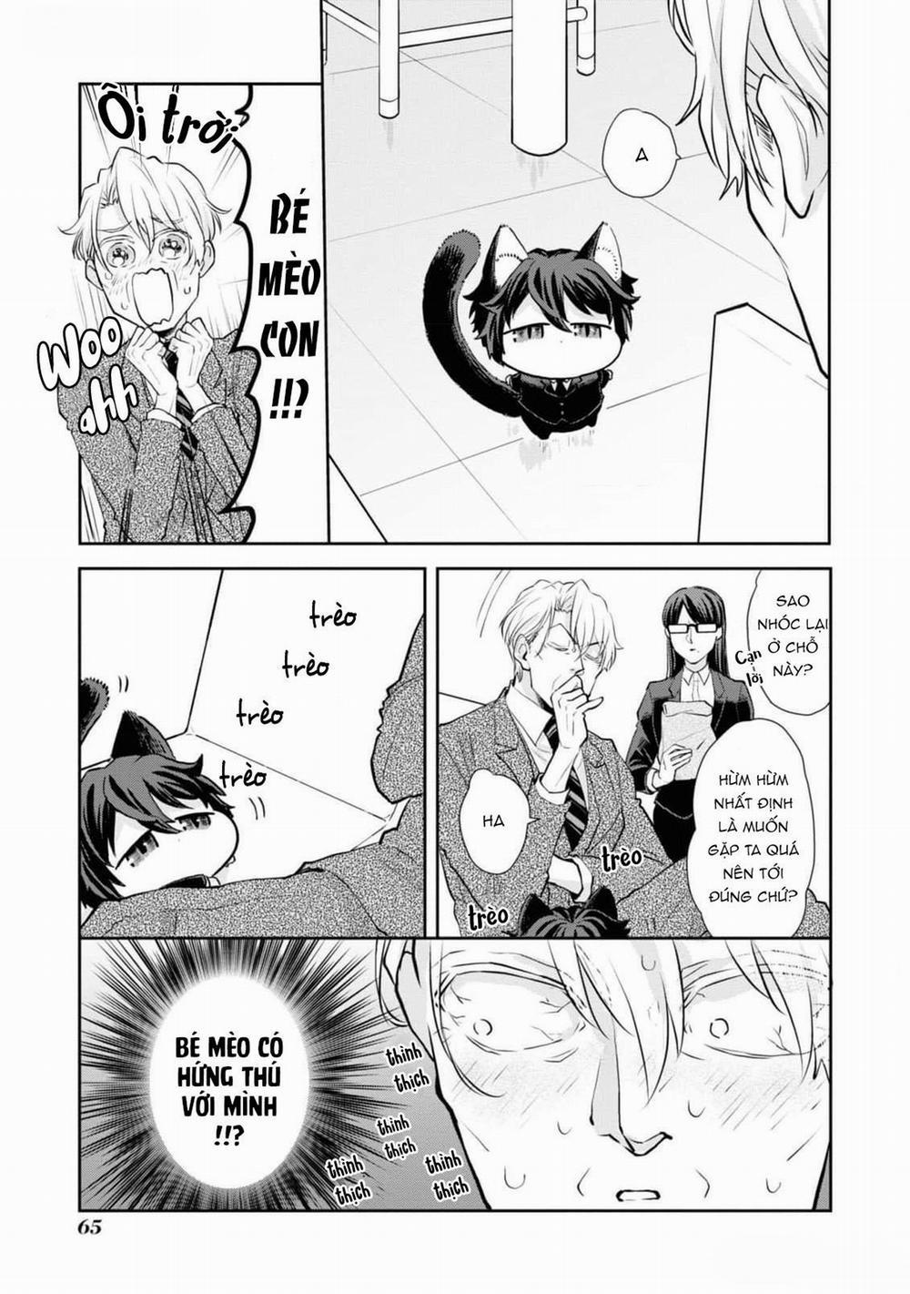Chú Mèo Đẹp Trai Muốn Được Haruta Nuôi Dưỡng 4 trang 8