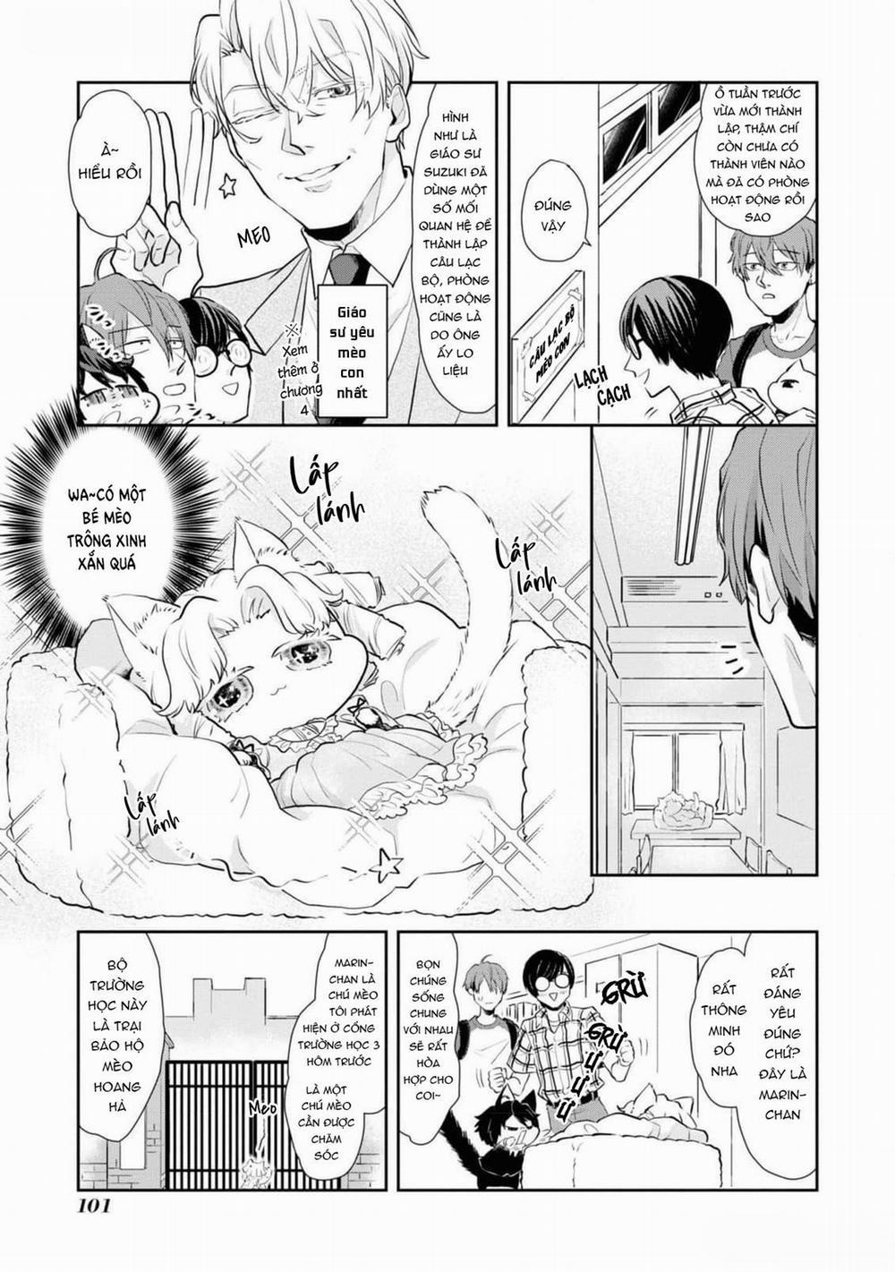 Chú Mèo Đẹp Trai Muốn Được Haruta Nuôi Dưỡng 6 trang 4