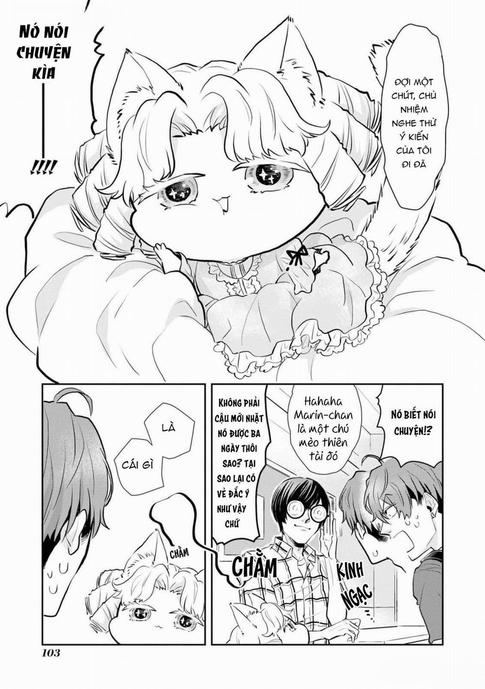 Chú Mèo Đẹp Trai Muốn Được Haruta Nuôi Dưỡng 6 trang 6