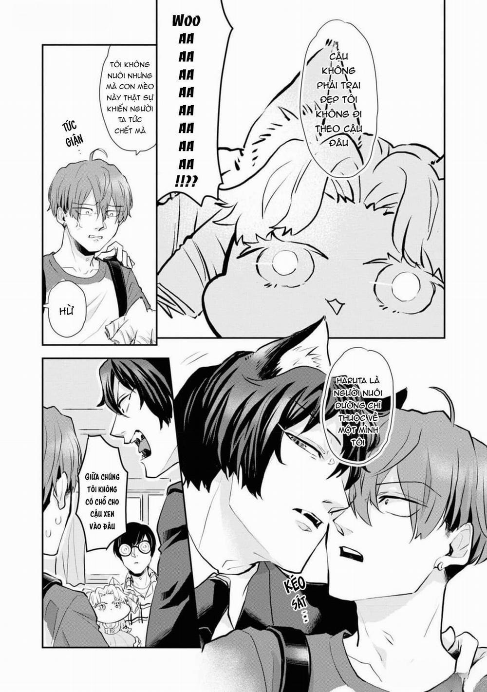 Chú Mèo Đẹp Trai Muốn Được Haruta Nuôi Dưỡng 6 trang 7