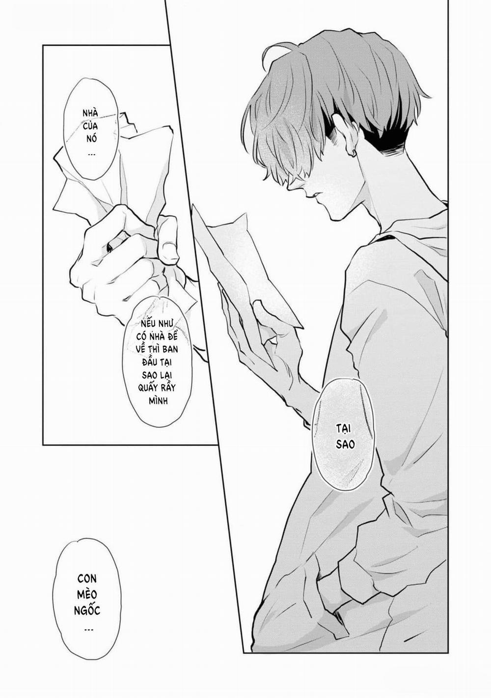 Chú Mèo Đẹp Trai Muốn Được Haruta Nuôi Dưỡng 7 trang 16
