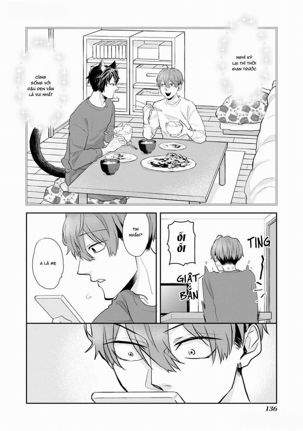 Chú Mèo Đẹp Trai Muốn Được Haruta Nuôi Dưỡng 8 trang 3