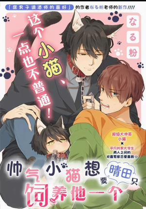 Đọc truyện tranh Chú Mèo Đẹp Trai Muốn Được Haruta Nuôi Dưỡng