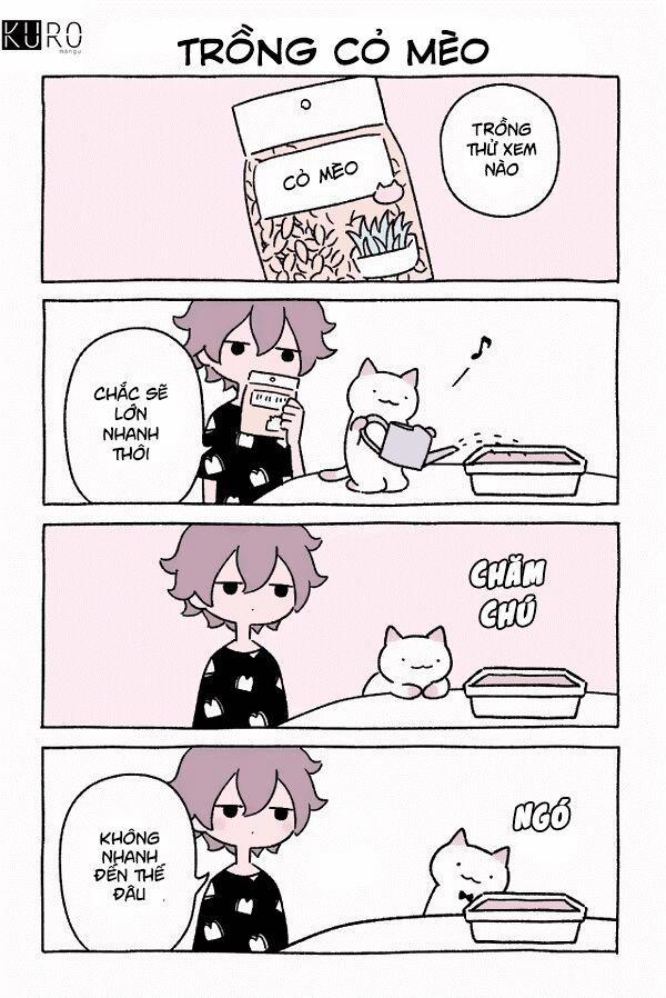 Chú Mèo Kỳ Diệu Kyuu-Chan 0 0 Trồng Cỏ Mèo trang 1