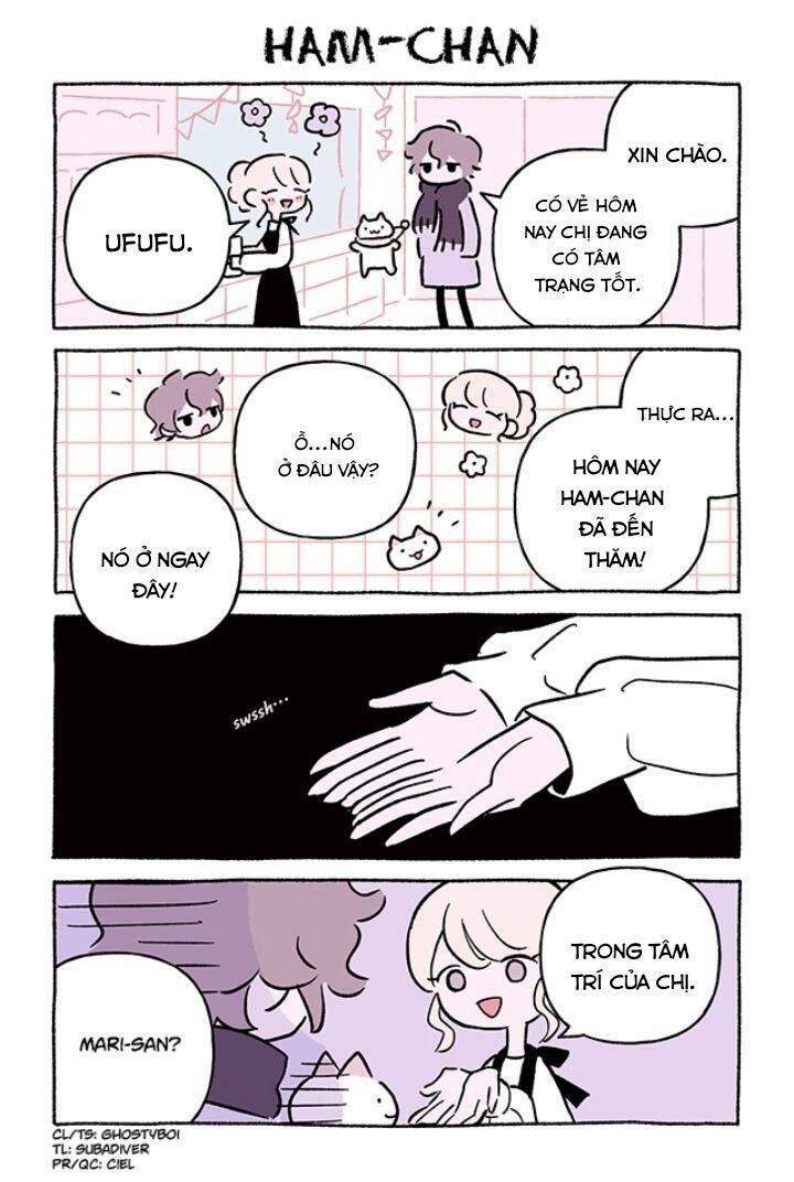 Chú Mèo Kỳ Diệu Kyuu-Chan 774 trang 2