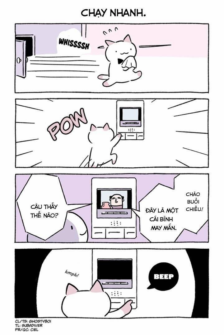 Chú Mèo Kỳ Diệu Kyuu-Chan 781 trang 2