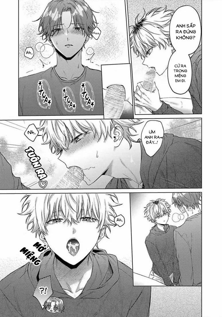 Chú Mèo Ngọt Ngào Đến Nhà Tôi Mỗi Lúc Chạng Vạng 4 trang 10