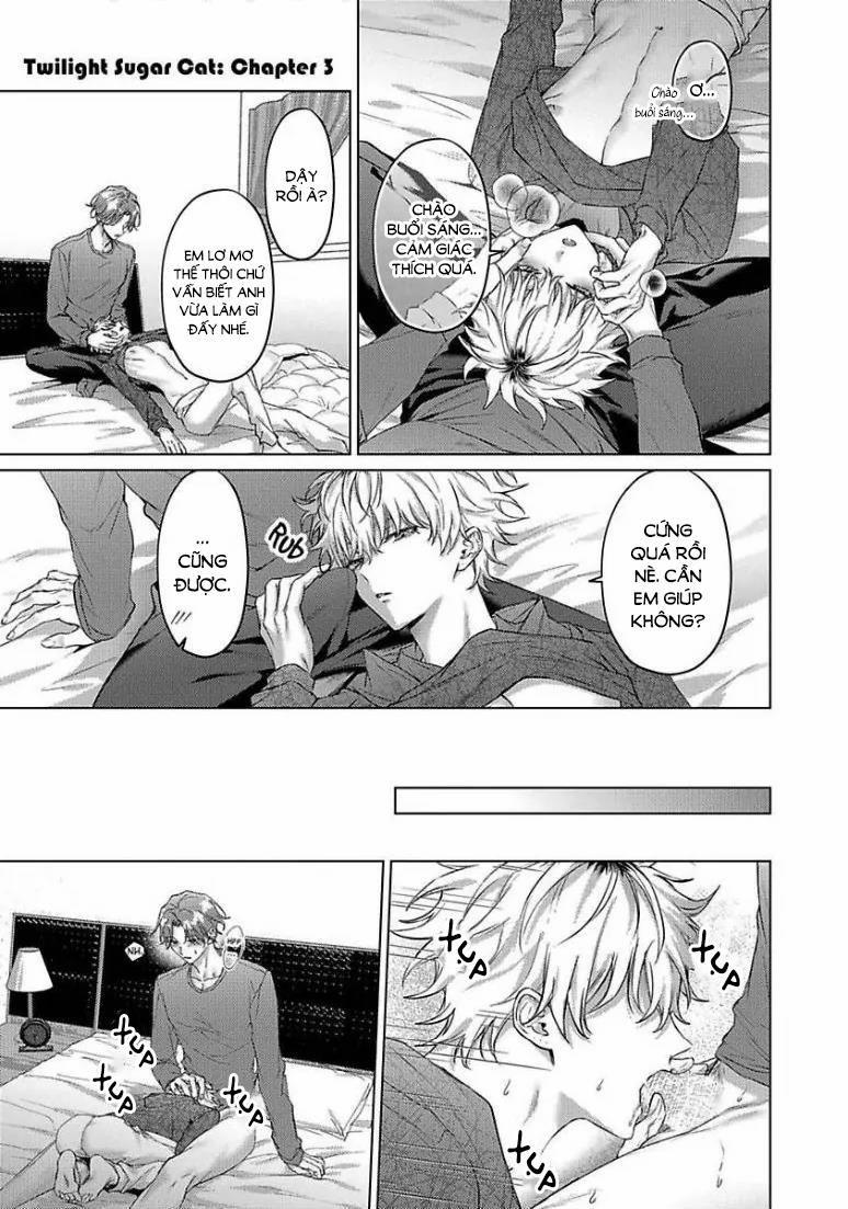 Chú Mèo Ngọt Ngào Đến Nhà Tôi Mỗi Lúc Chạng Vạng 4 trang 6
