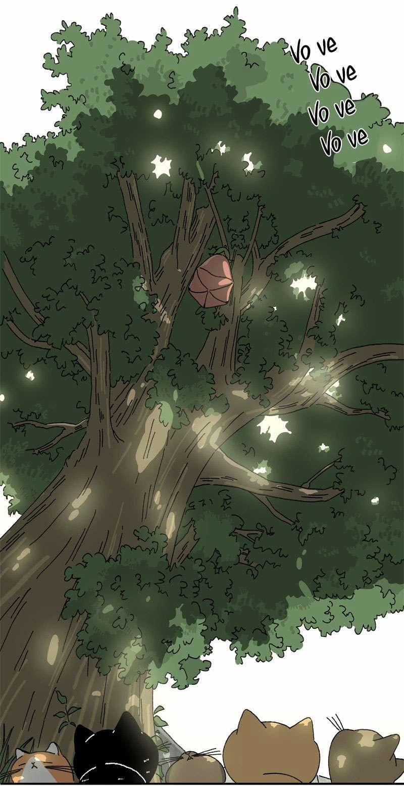 Chú Mèo Tata 1 trang 25