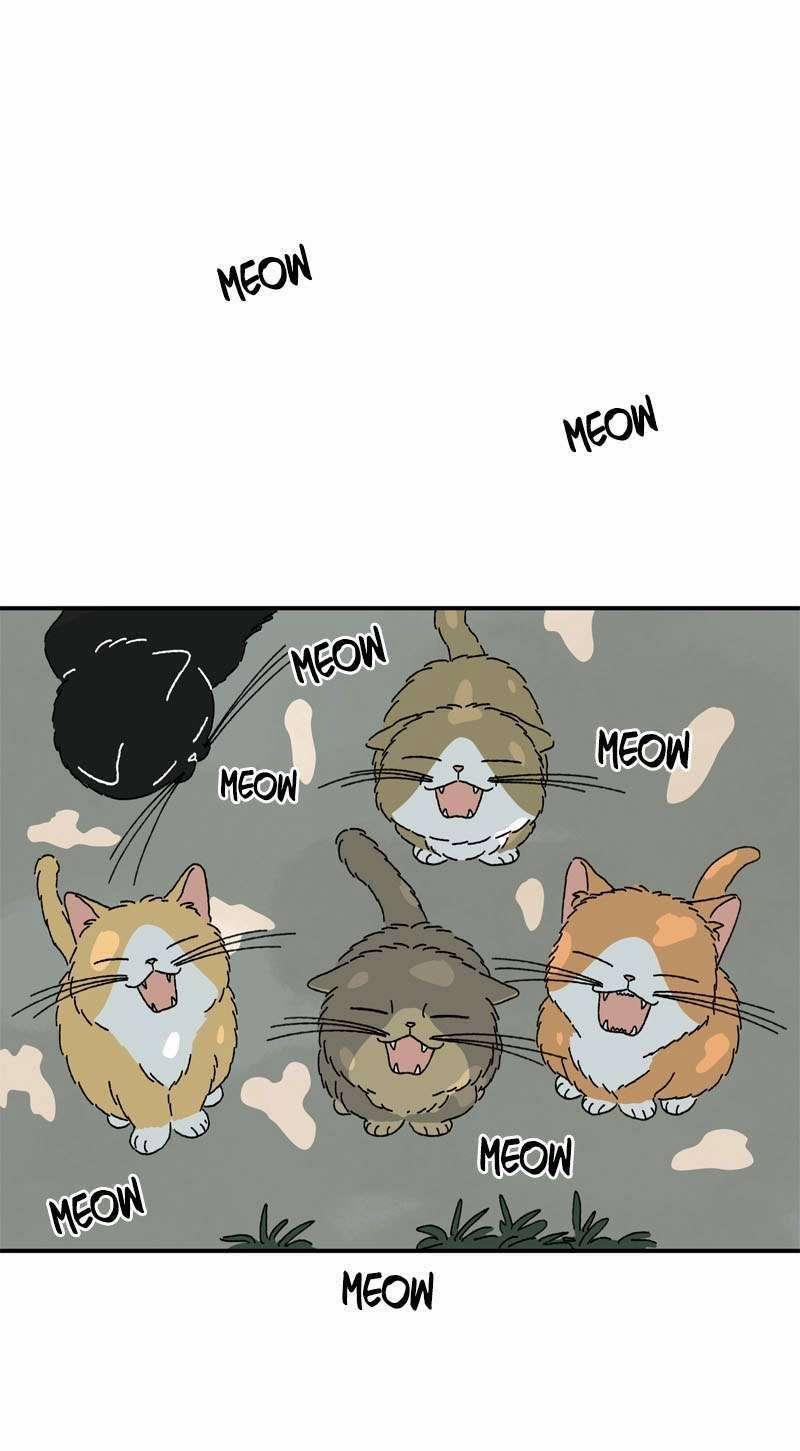 Chú Mèo Tata 1 trang 71