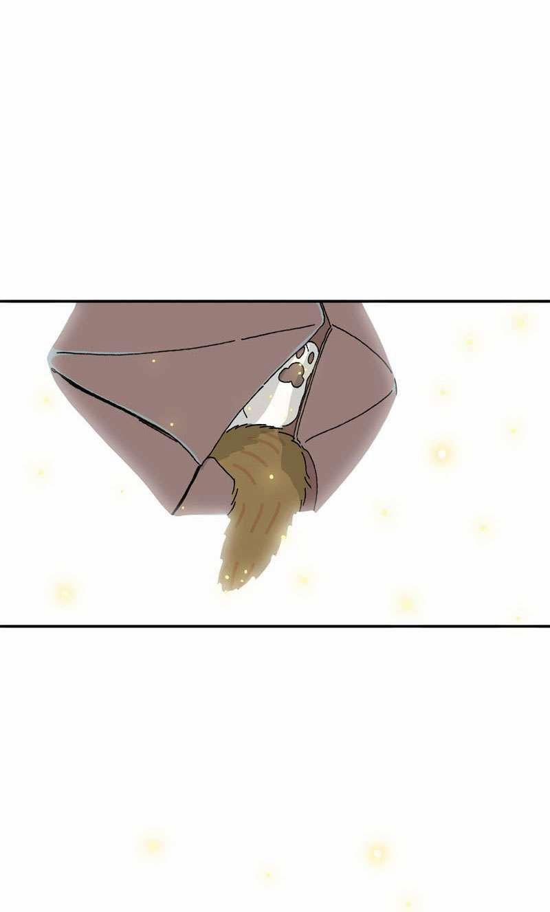 Chú Mèo Tata 1 trang 78