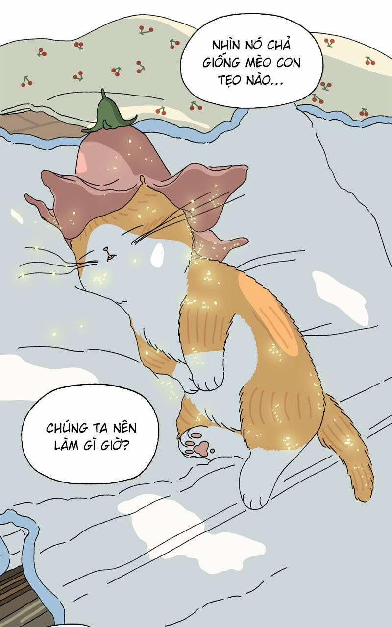 Chú Mèo Tata 2 trang 22