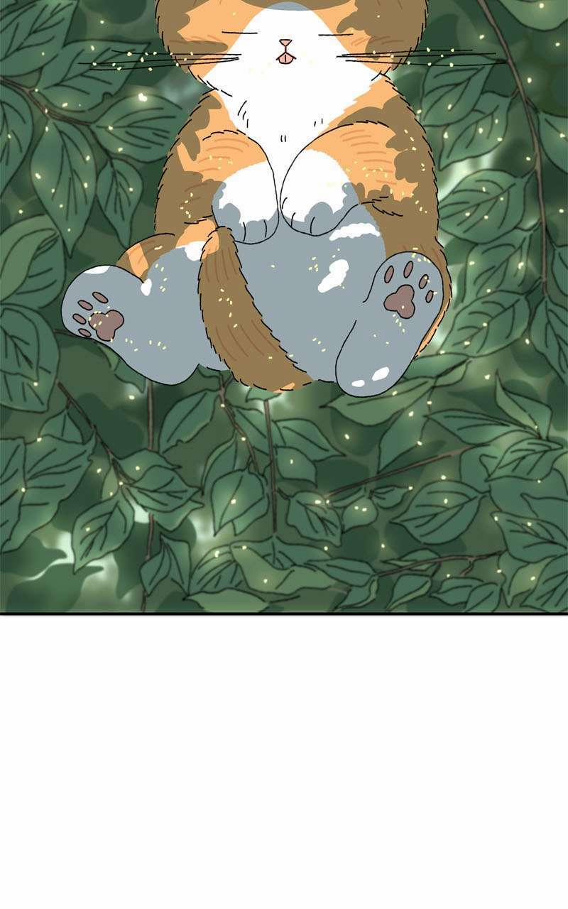 Chú Mèo Tata 2 trang 4