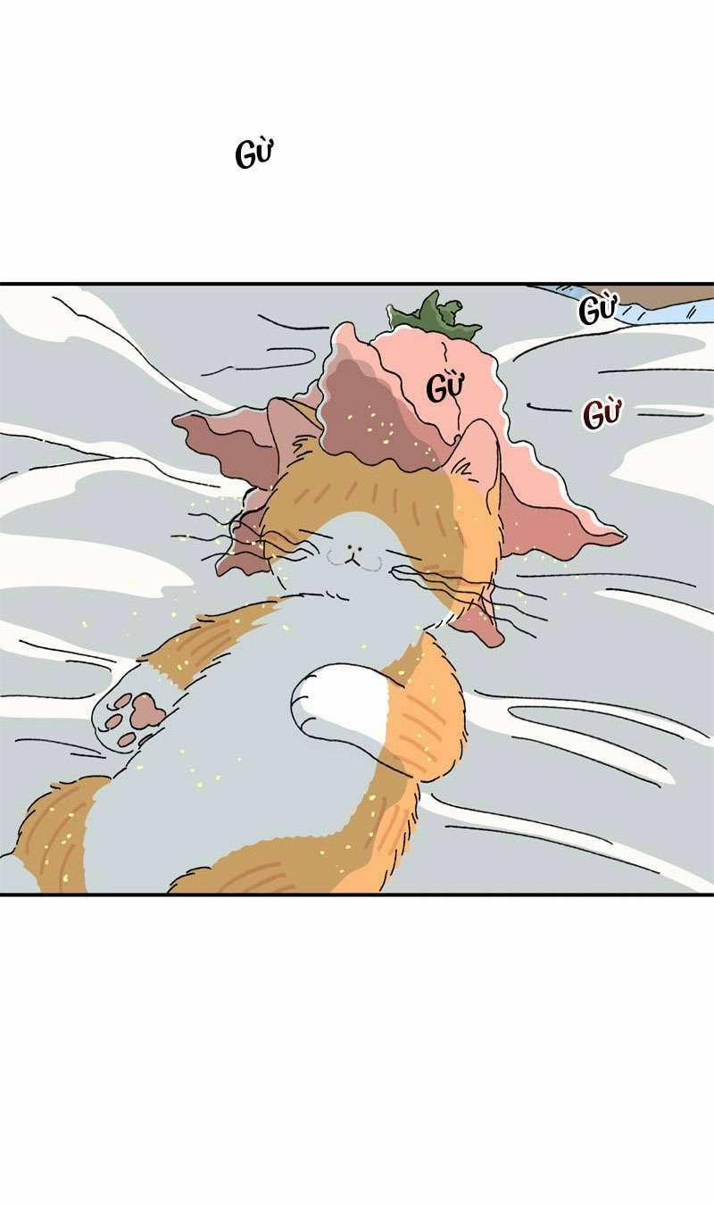 Chú Mèo Tata 2 trang 49