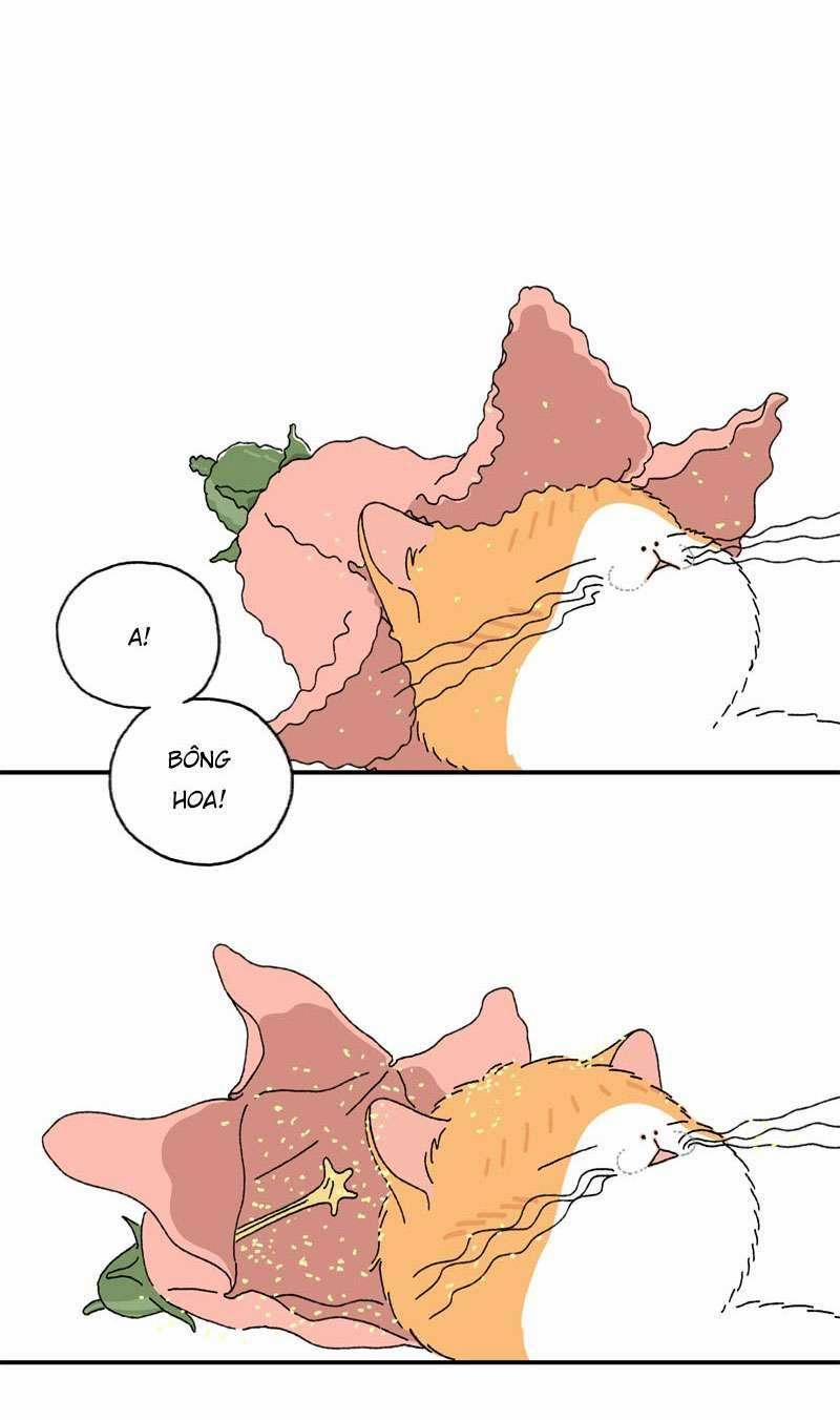 Chú Mèo Tata 2 trang 50