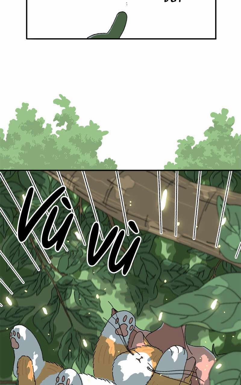 Chú Mèo Tata 2 trang 9