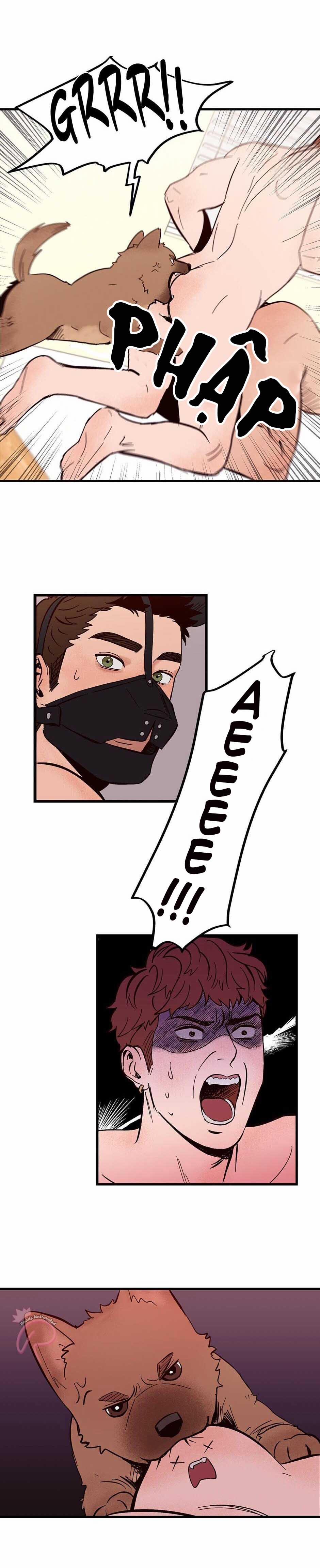 CHỦ NHÂN CỦA CẬU CHỦ 1 trang 16