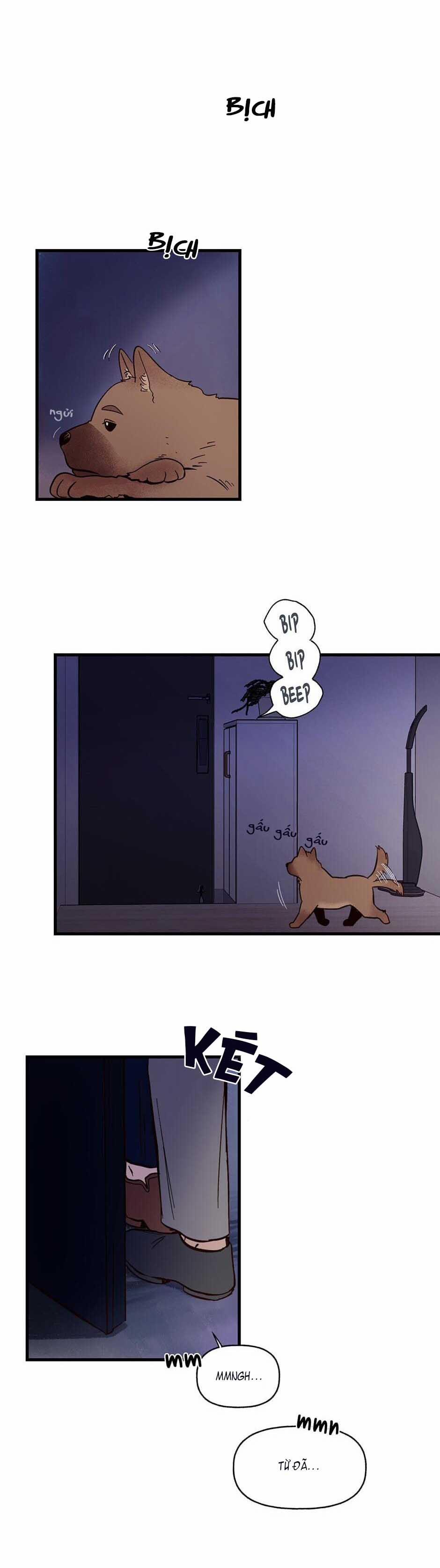 CHỦ NHÂN CỦA CẬU CHỦ 1 trang 6