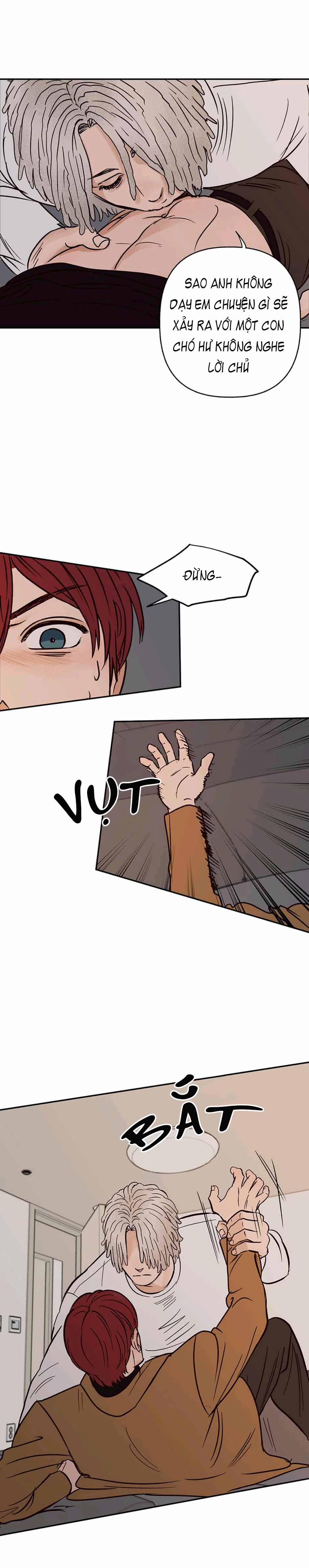 CHỦ NHÂN CỦA CẬU CHỦ 39 trang 10